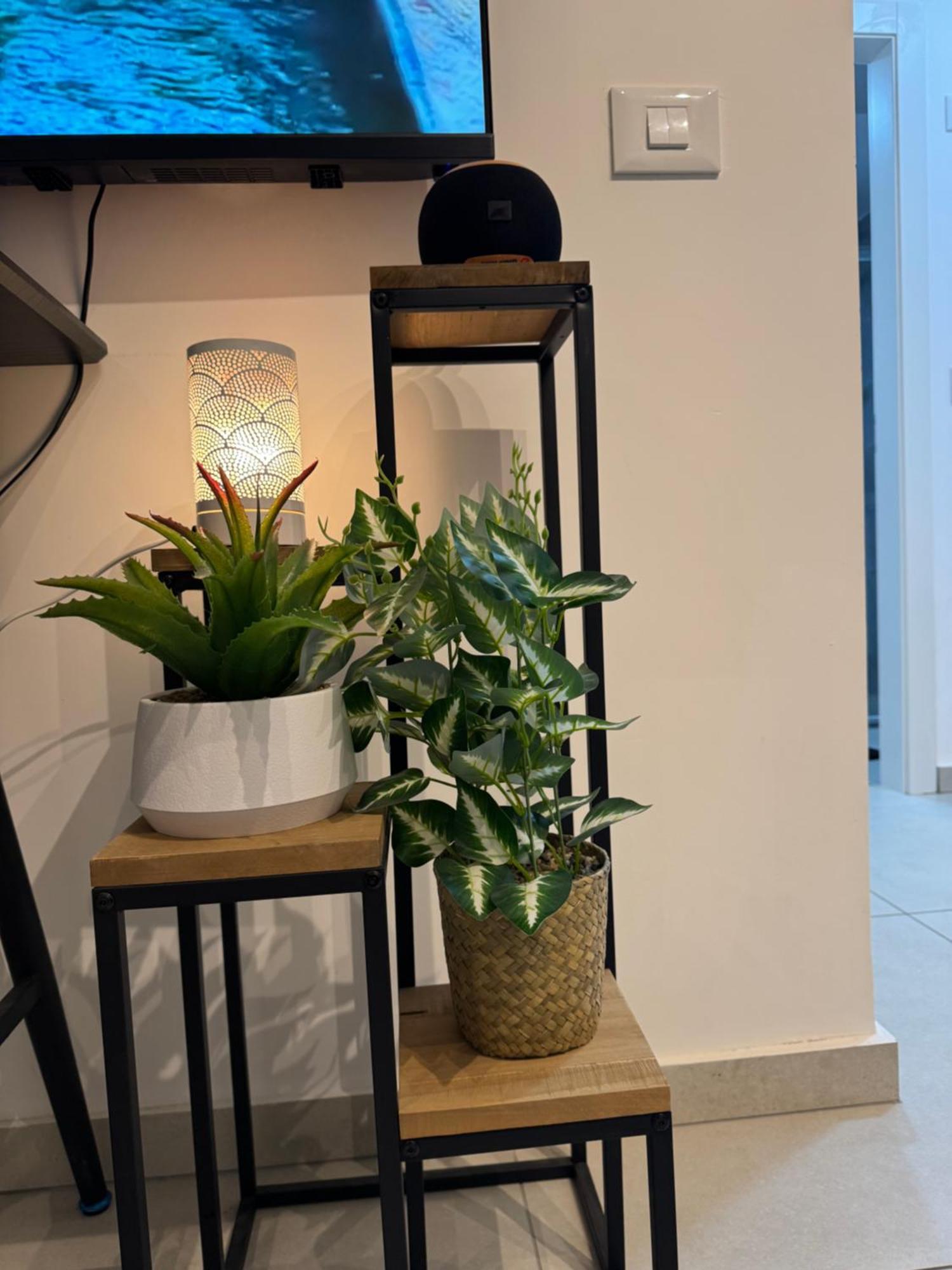 פסגת הדקל Apartment Eilat Ngoại thất bức ảnh